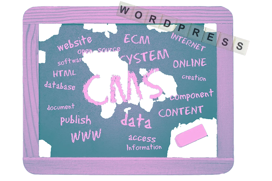 CMS Solutions